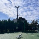 황토클리닉타운 이미지