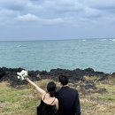 제주구도 | 제주 셀프 웨딩스냅 후기