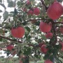 선바위농원 이미지