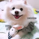 이(e) | [E.rul:이룰] 부산 해운대 이룰스튜디오 양모액자 클래스 후기 - 첫번째 이야기