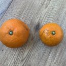 바산농장 이미지