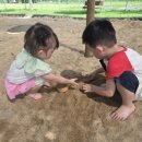 꼬마천사어린이집 이미지