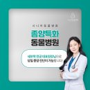 선릉동물병원 이미지