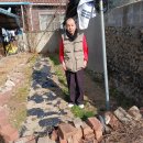 서울이용소 이미지