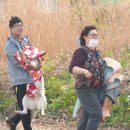 대형 산불 났는데…'술자리'에 '홍보용 사진'까지 이미지