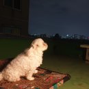 동암동물병원 이미지