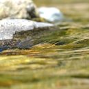 바람이불어오는곳 이미지