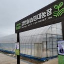 경영농장 이미지