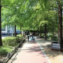 가수원로-12 이미지