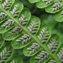 동의보감해독한의원 이미지