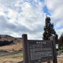 세화복덩이