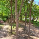 문산중학교 앞 이미지