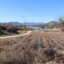 모아초등학교 이미지