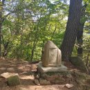 ♤ 제507차 탄항산, 부봉 연계 산행안내(2026.06.07) 이미지