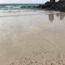 지현목장 이미지