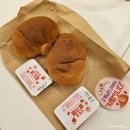 도로시파스타연정본오점 이미지