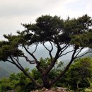 자굴산치유수목원 이미지