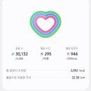 디즈니랜드, 디즈니 캘리포니아 어드벤처 1일 2파크 호퍼,라이트닝 레인 안사고 싱글라이더 후기 1편