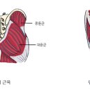 클래스윔 스포츠센터 이미지