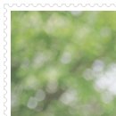 신흥한의원 이미지