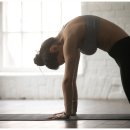 바른 자세 요가 이미지