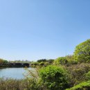 경복궁 한식-일산 호수공원(2024.04.13(토) 이미지