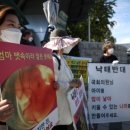 법무법인상림 | 중절죄 폐지 5년, 입법 공백 속...'36주 낙태' 브이로그도