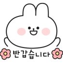 타르티 이미지