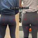 로얄핏PT 이미지