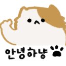 본살롱(BON SALON)
