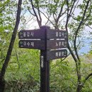 덕고개로 이미지