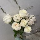 전세움, 종교 26-5, 축하선물, 직원은요? 이미지