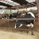 생연제일의원 이미지