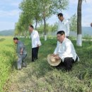 하라고 6호 한국일보