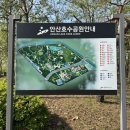 안산꽃