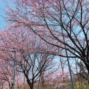 은파호수공원 9-4 이미지