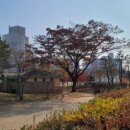 옥구인조잔디축구장 이미지