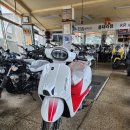 욜로모터스 이미지