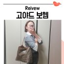 나비이불 | 고야드 보헴 호보백 블랙탄 PM 사이즈 나비 마카쥬 기저귀가방 1년 사용 후기