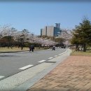 독불장군 이미지