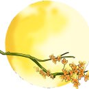 경동메디칼약국 이미지