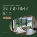 트리즈 | 베이커리가 맛있는 판교 대형카페 트리즈 솔직후기