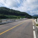 사천교 버스정류장 이미지