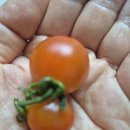 (주)희연 이미지