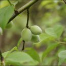 옥영농장 이미지