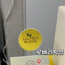 로베리왁싱