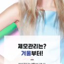 봄여름가을겨울피부과의원 - 강남구 가로수길 79 | 봄여름가을겨울피부과의원