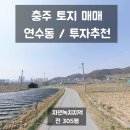 금봉대로 이미지