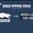 에이스짐 이미지