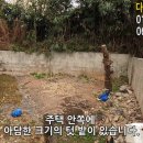 다모아부동산중개 네이버블로그